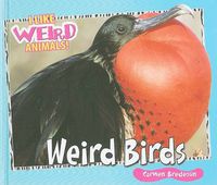 Cover image for Weird Birds