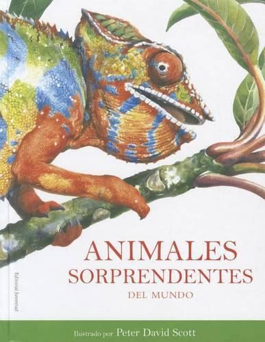 Animales Sorprendentes del Mundo