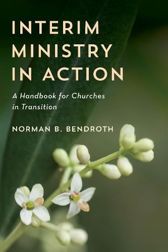 Cover image for Interim Ministry in Action: A Handbook for Churches in Transition