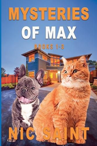 Cover image for Mysteries of Max