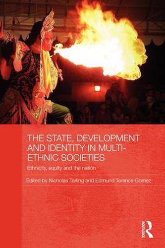 Cover image for The State, Development and Identity in Multi-Ethnic Societies: Ethnicity, Equity and the Nation