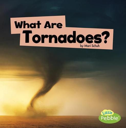 Cover image for What are Tornadoes? (Wicked Weather)