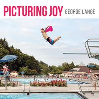 Cover image for Picturing Joy