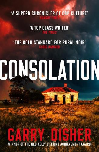 Consolation: Constable Hirsch Mysteries 3