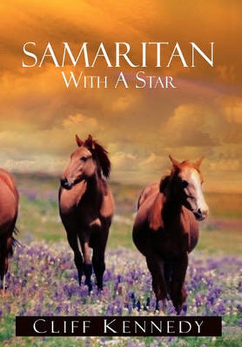 Cover image for Samaritan with a Star