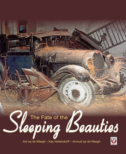 Cover image for Fate of the Sleeping Beauties, the