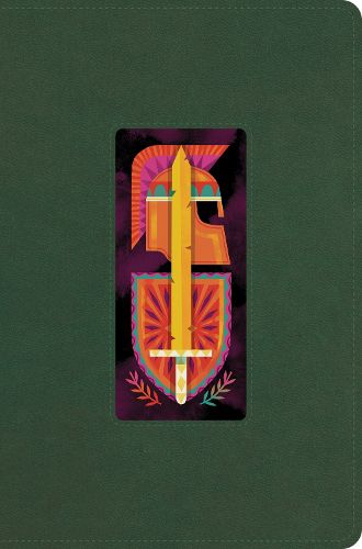 Cover image for ESV The Biggest Story Holy Bible for Kids