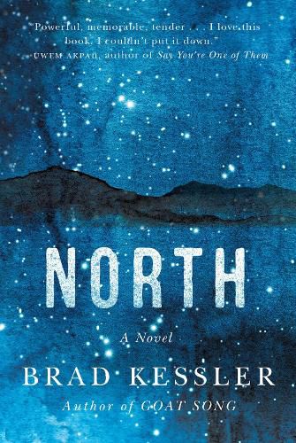 Cover image for North: A Novel