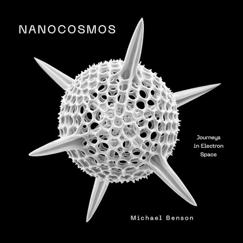 Cover image for Nanocosmos
