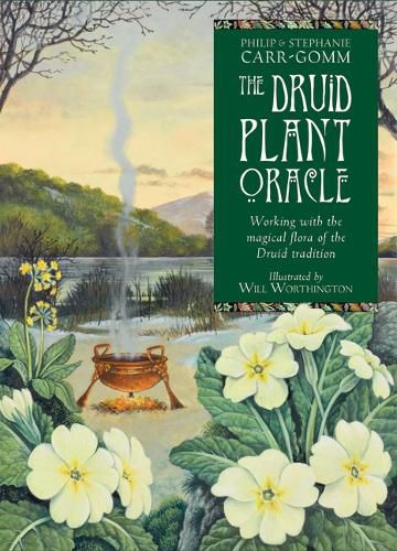 The Druid Plant Oracle: Working with the Magical Flora of the Druid Tradition