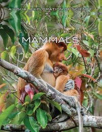 Cover image for A Visual Guide to Mammals