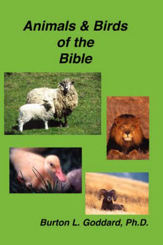 Cover image for Animals and Birds of the Bible