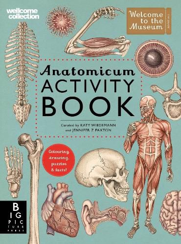 Cover image for Anatomicum Activity Book