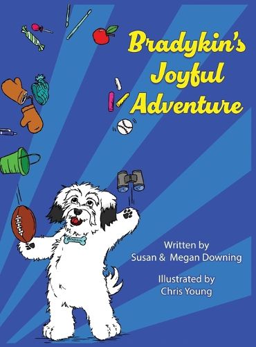 Cover image for Bradykin's Joyful Adventure