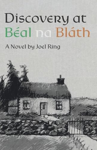 Cover image for Discovery at Beal na Blath