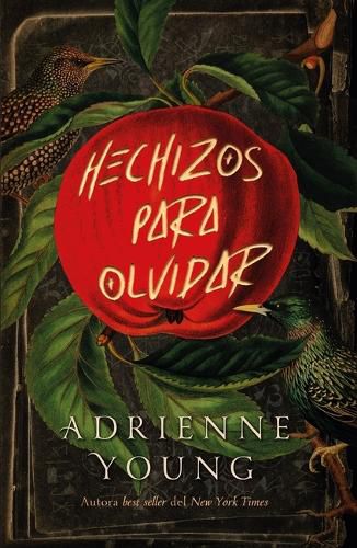 Cover image for Hechizos Para Olvidar