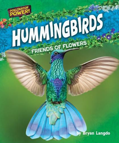 Cover image for Hummingbirds