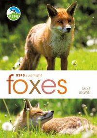 Cover image for RSPB Spotlight: Foxes
