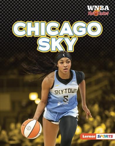 Cover image for Chicago Sky