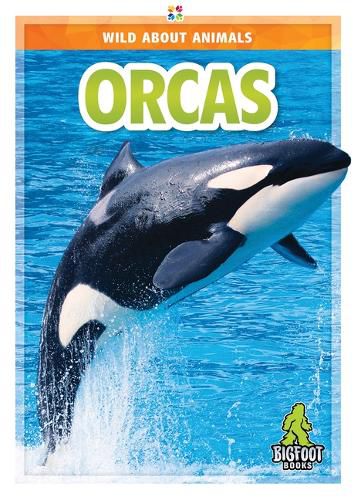 Cover image for Orcas