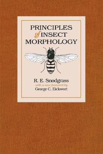 Cover image for Principles of Insect Morphology