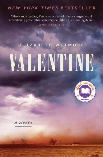 Cover image for Valentine