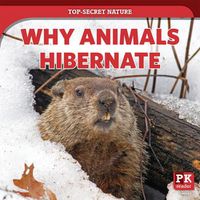 Cover image for Why Animals Hibernate