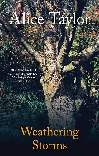 Cover image for Weathering Storms