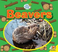 Cover image for Beavers