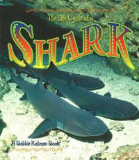 Cover image for The Life Cycle of the Shark