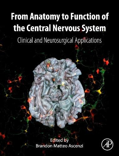 Cover image for From Anatomy to Function of the Central Nervous System