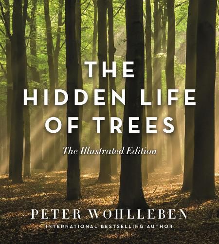 The Hidden Life of Trees : The Illustrated Edition