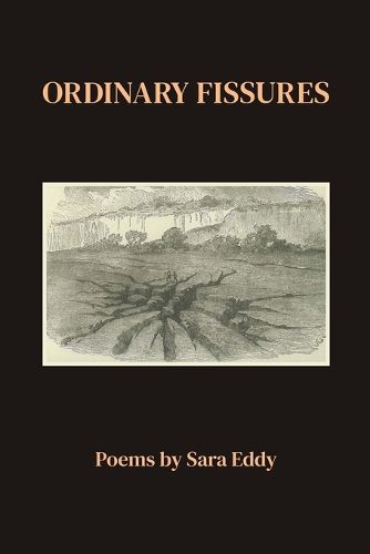 Cover image for Ordinary Fissures