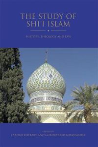 Cover image for The Study of Shi'i Islam: History, Theology and Law
