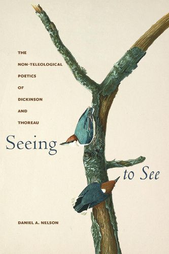 Cover image for Seeing to See
