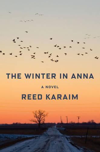 Cover image for The Winter in Anna: A Novel