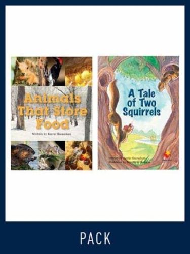 Cover image for Flying Start Guided Reading Level 21, Pack 3: Paired student books (6x6) and lesson plan (1)