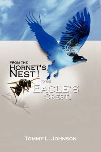 Cover image for From the Hornet's Nest