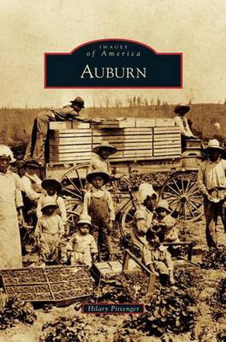 Cover image for Auburn