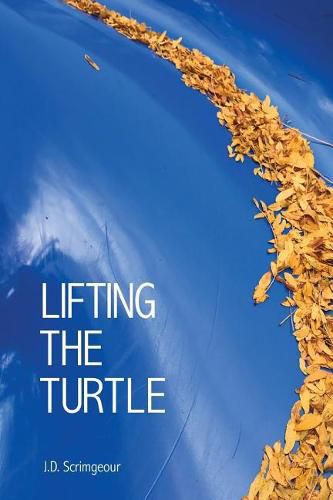 Cover image for Lifting the Turtle