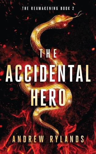 Cover image for The Accidental Hero