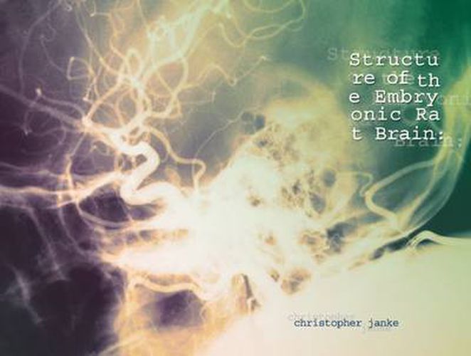 Cover image for Structure of the Embryonic Rat Brain