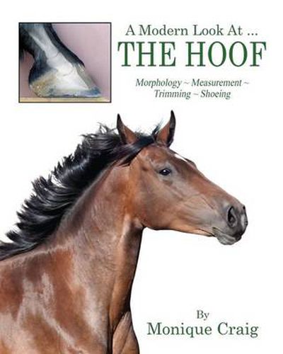 Cover image for A Modern Look At ... THE HOOF: Morphology Measurement Trimming Shoeing