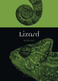 Cover image for Lizard