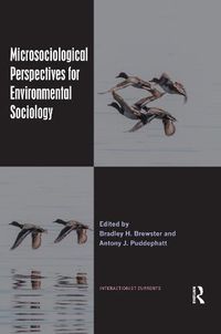 Cover image for Microsociological Perspectives for Environmental Sociology