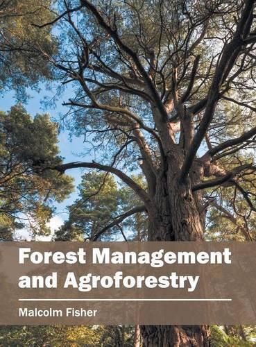 Cover image for Forest Management and Agroforestry