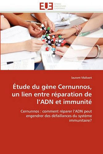 Cover image for Etude Du Gene Cernunnos, Un Lien Entre Reparation de L'Adn Et Immunite