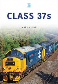 Cover image for Class 37s