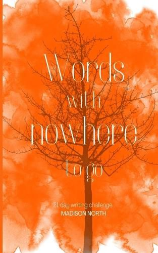 Cover image for Words with nowhere to go