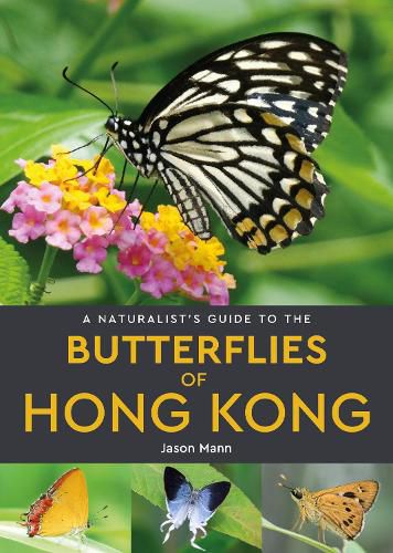 Cover image for A Naturalist's Guide to the Butterflies of Hong Kong